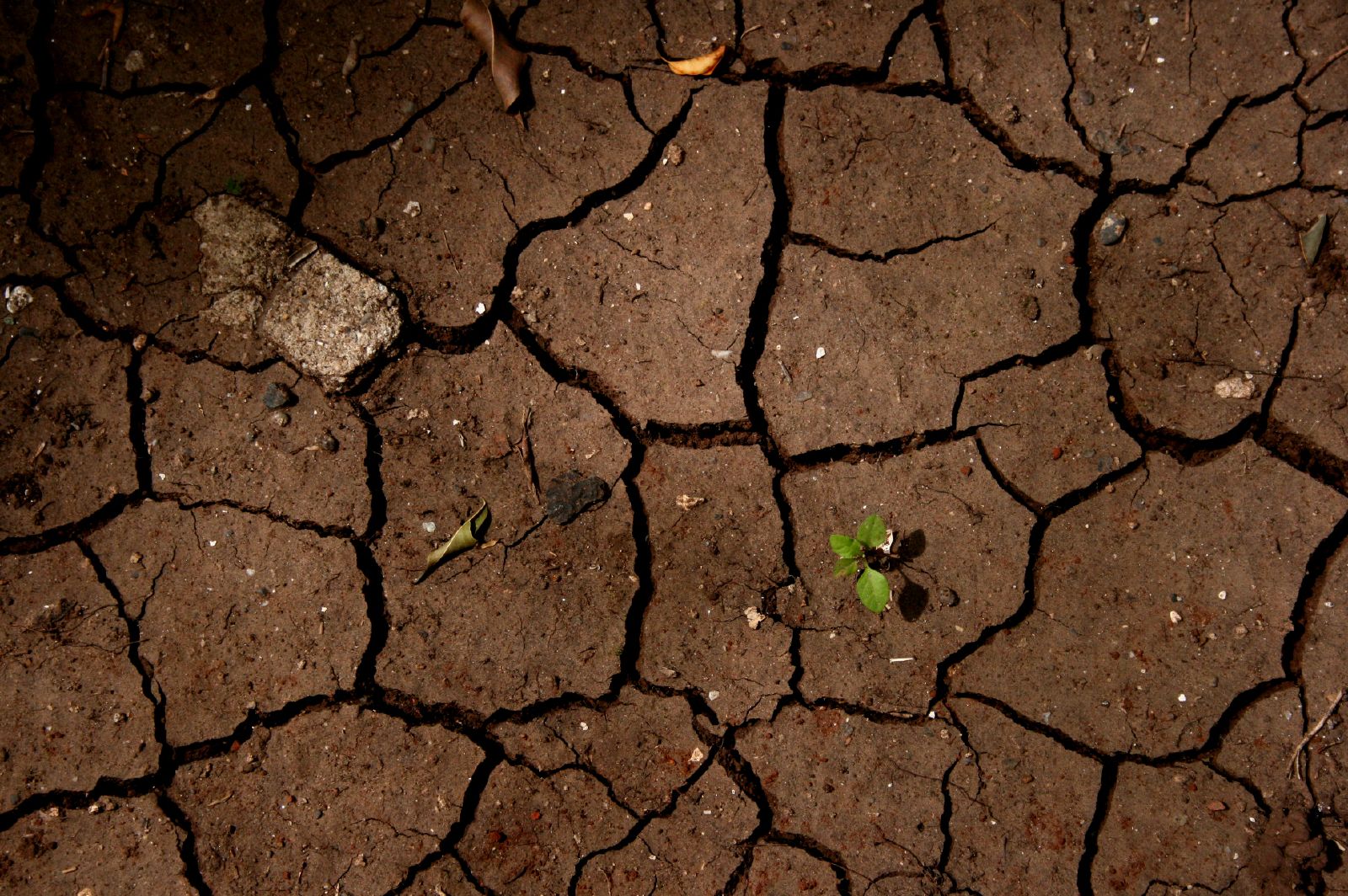 Стоит почва. Land Top. Rain Land Top view.