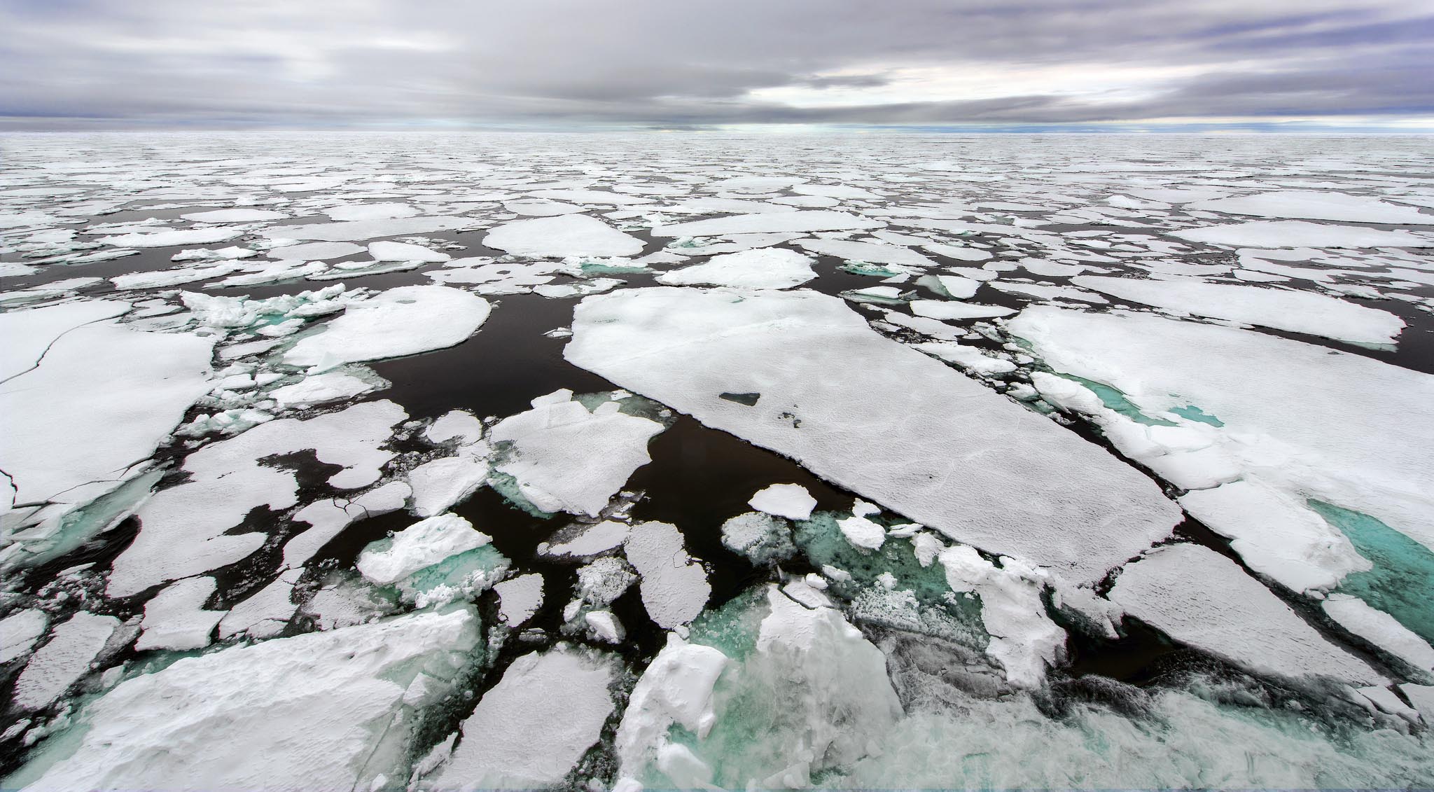 Climate challenge. Арктическая область. Ледяные цветы Арктики. Талая вода. Арктика Россия Карелия.