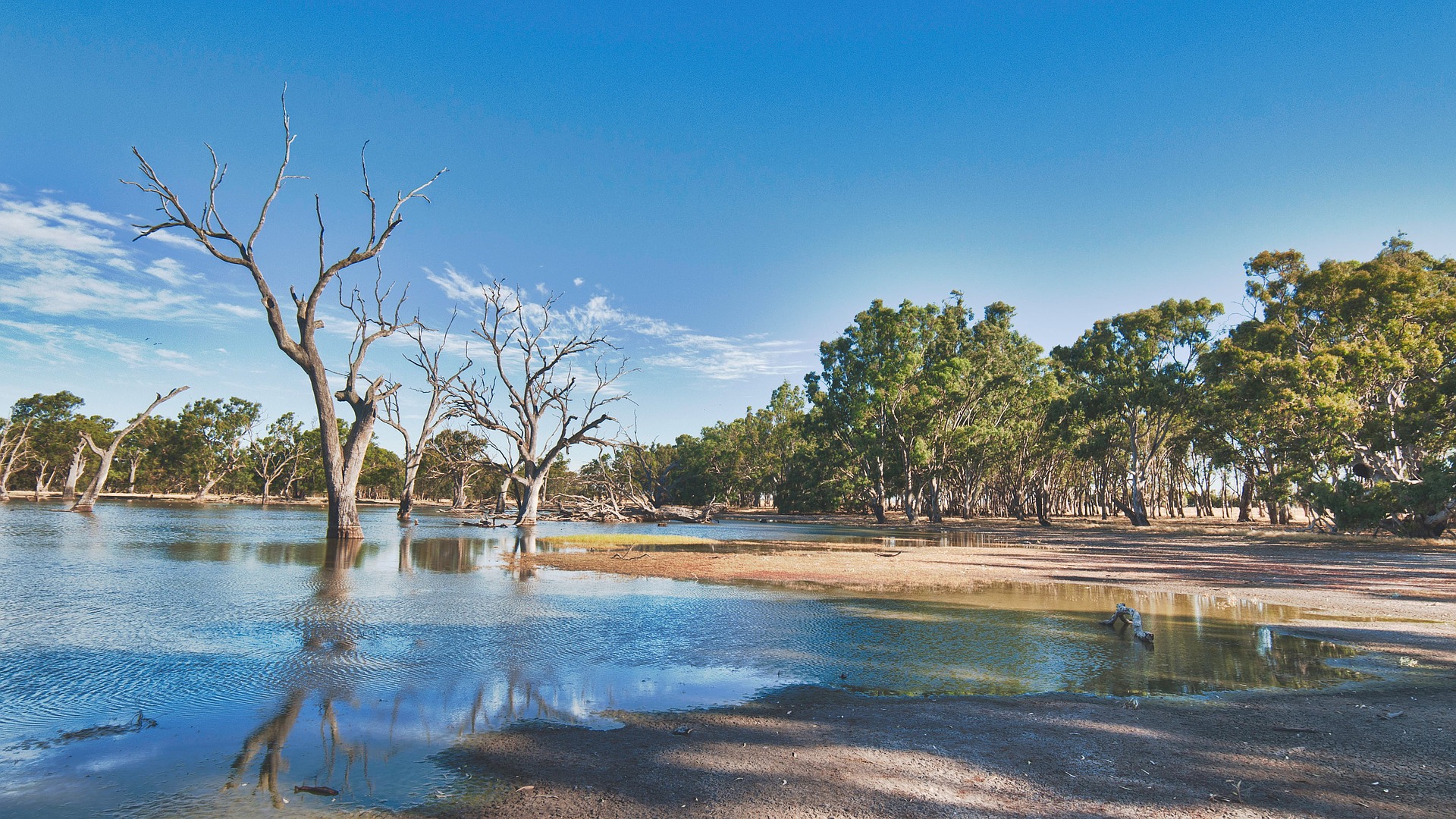 podcast-australia-s-environmental-performance-review-policy-forum