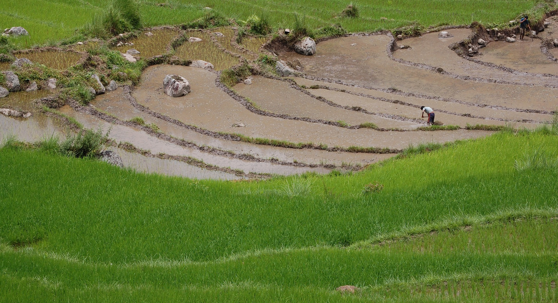 Measuring income inequality in Bhutan - Policy Forum