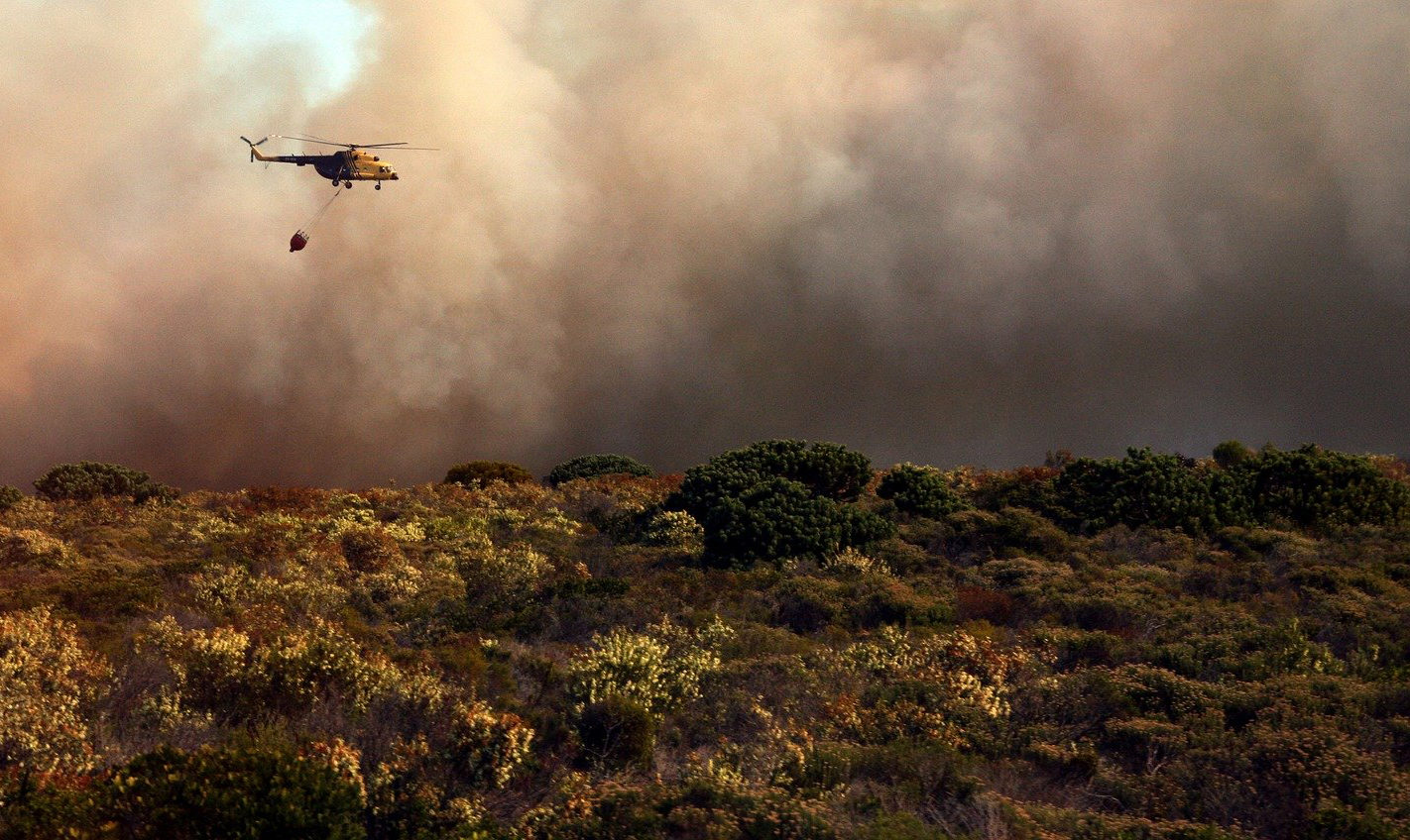 policy-file-australia-s-bushfire-nightmare-policy-forum