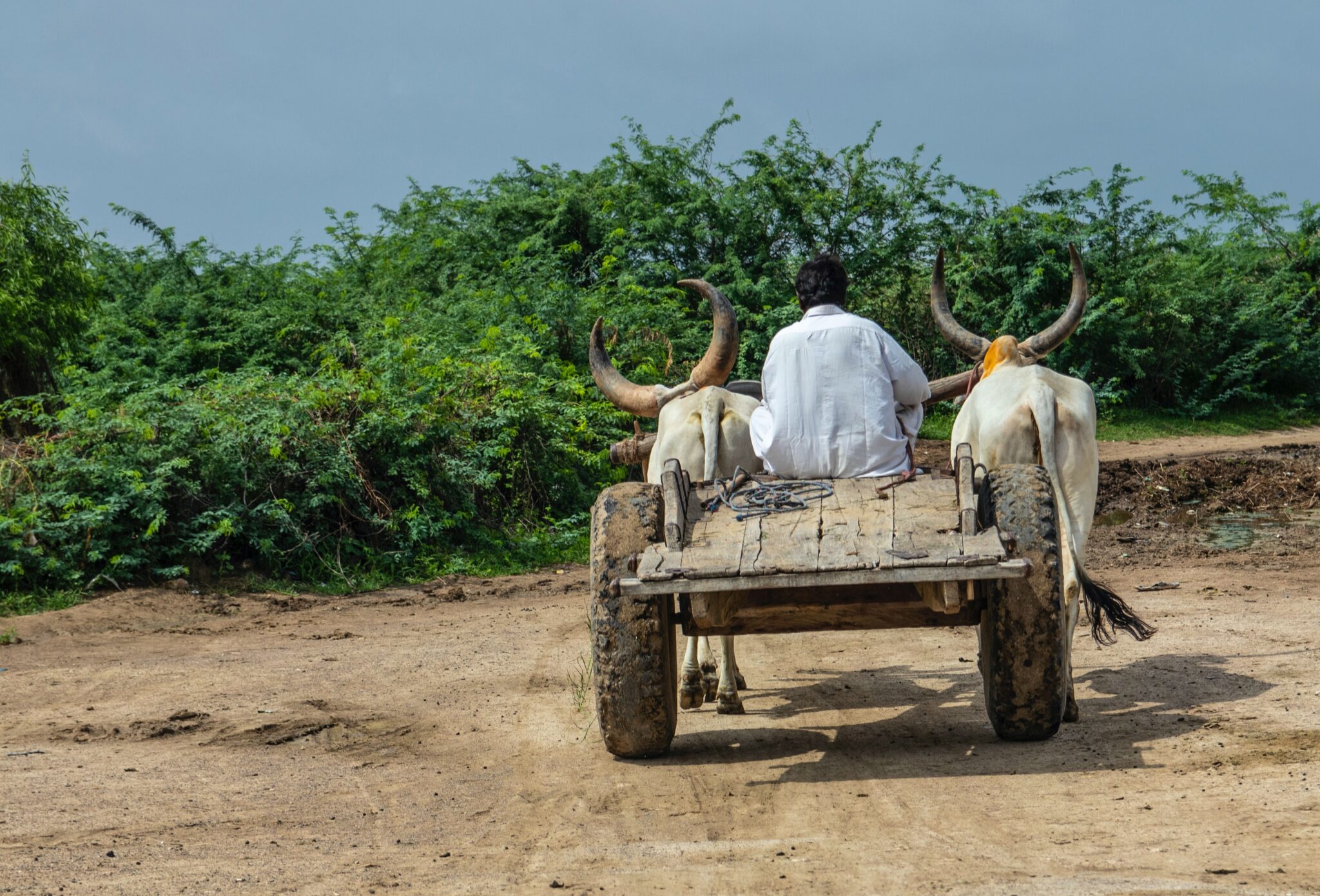 the-future-of-food-in-pakistan-policy-forum